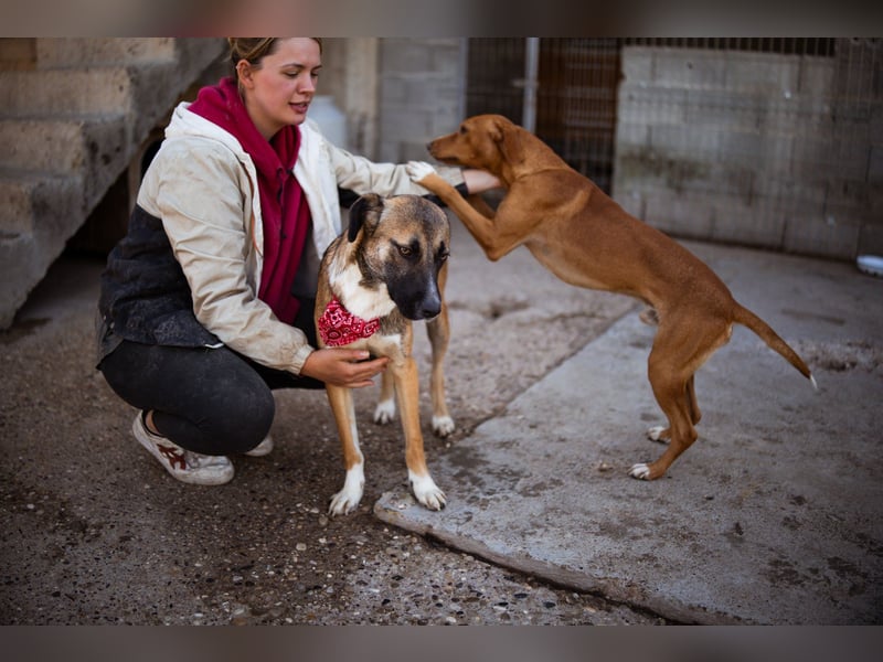 Liebste ♥ Lisa ♥ die pure Lebensfreude