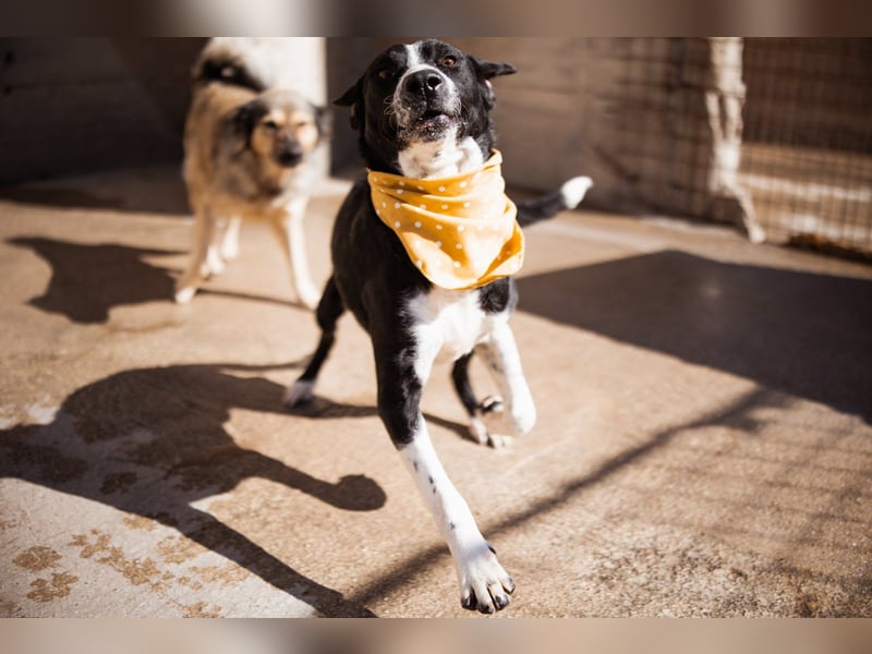 Rüdenbub ♥Vince♥ unser kleiner Prinz ♥