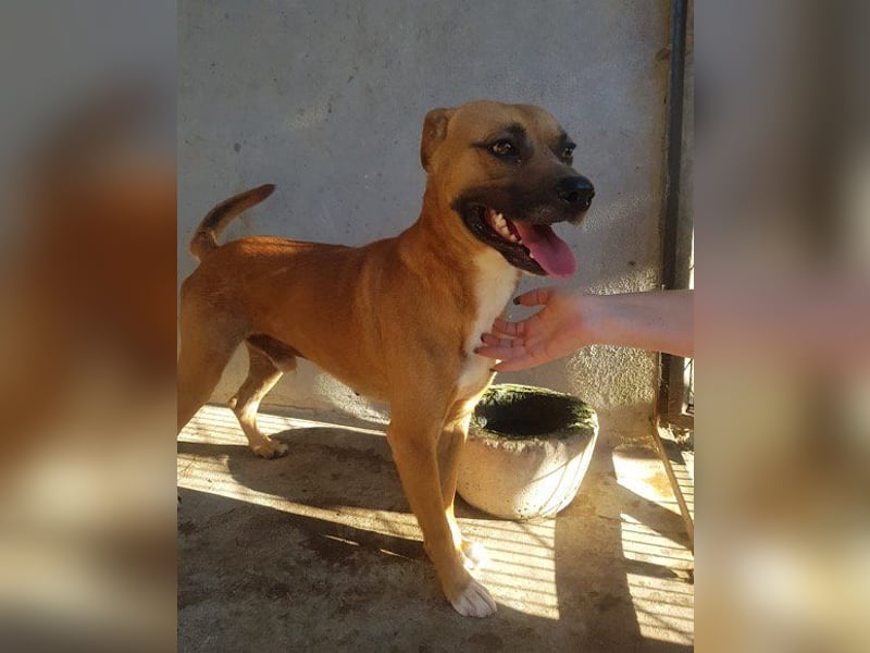 Teddy  wartet schon so lange!