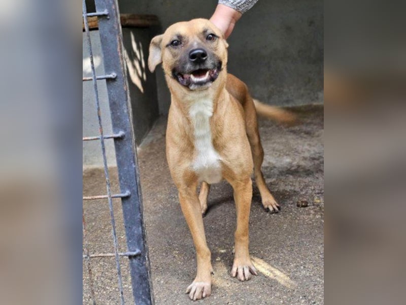 Teddy  wartet schon so lange!