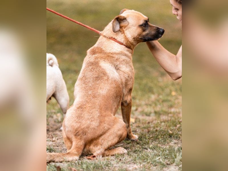 Teddy  wartet schon so lange! Teddy  wartet schon so lange!