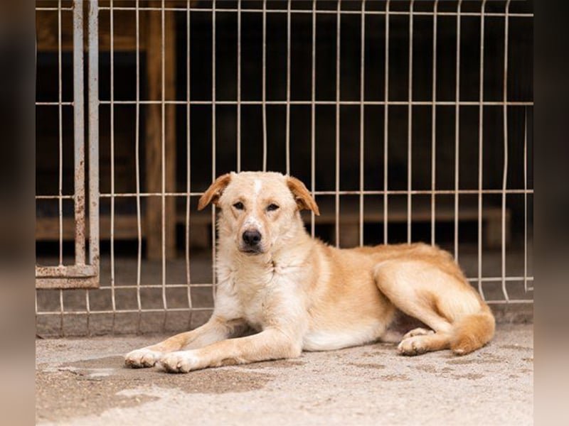 Bob wartet sehnsüchtig auf deine Anfrage