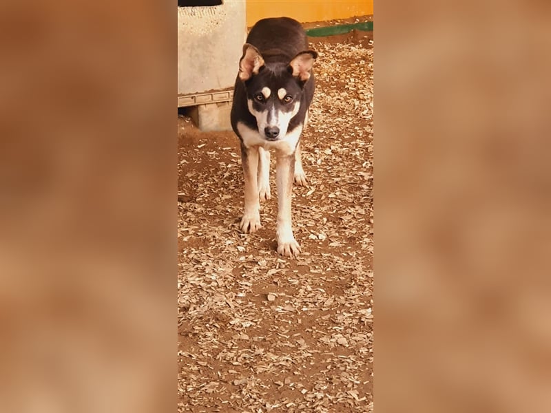 Lea die schöne Vorsichtige