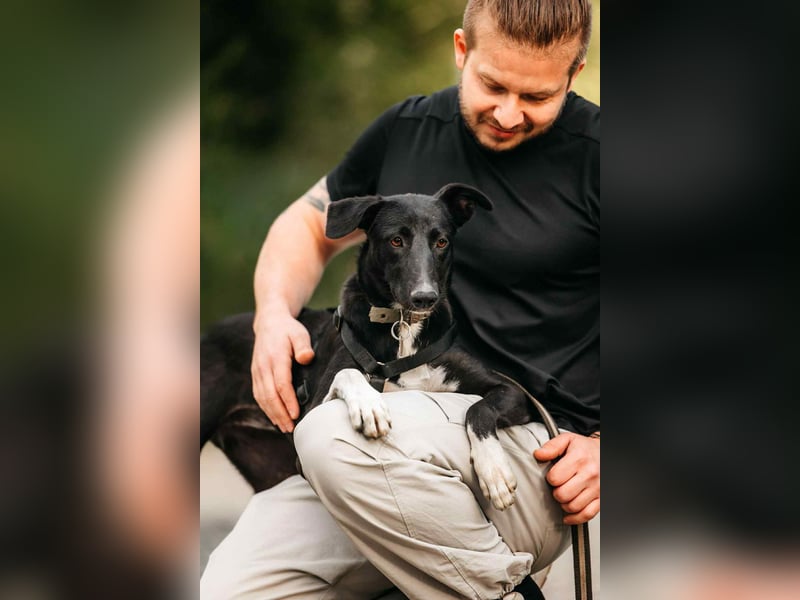 Neugierige Stella sucht liebevolles Zuhause