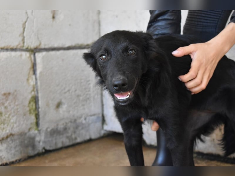 Nolwen - Das Märchen von den fünf Schwestern