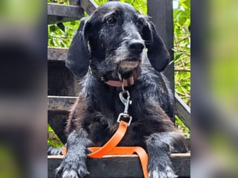 Sabrinetta - Alles, was Du willst, liegt jenseits dieser Mauern