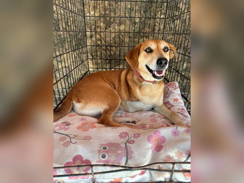 Fortuna - Glück wird mehr, wenn man es teilt