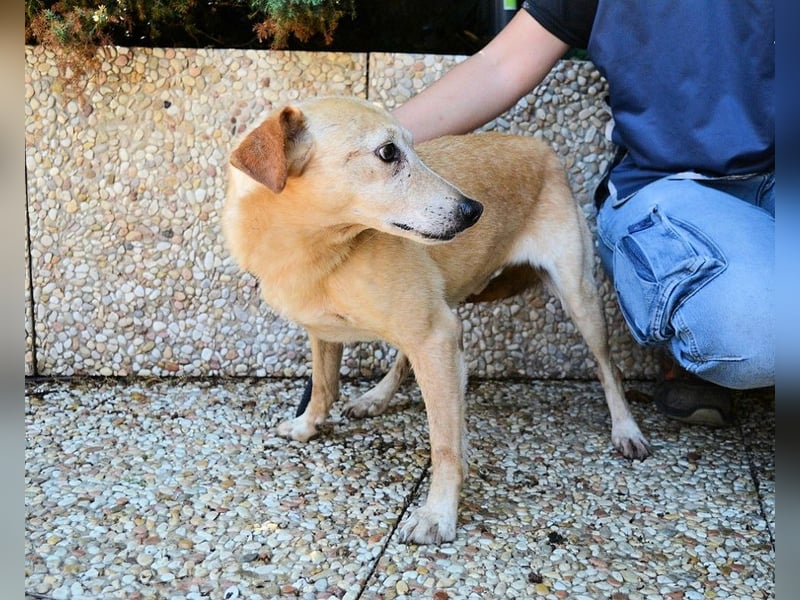 Walker - Die Geschichte vom verlorenen Schatten