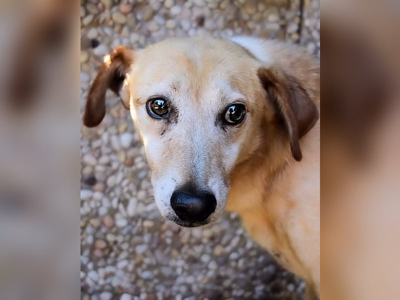Walker - Die Geschichte vom verlorenen Schatten