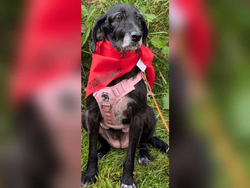 Sabrinetta - Alles, was Du willst, liegt jenseits dieser Mauern