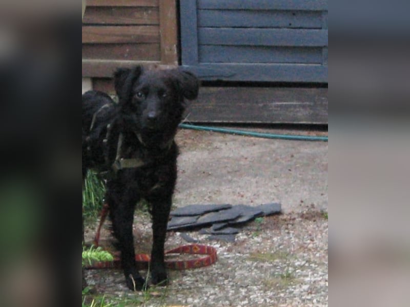 Javier - eine Welt, tiefer und dunkler als der Ozean