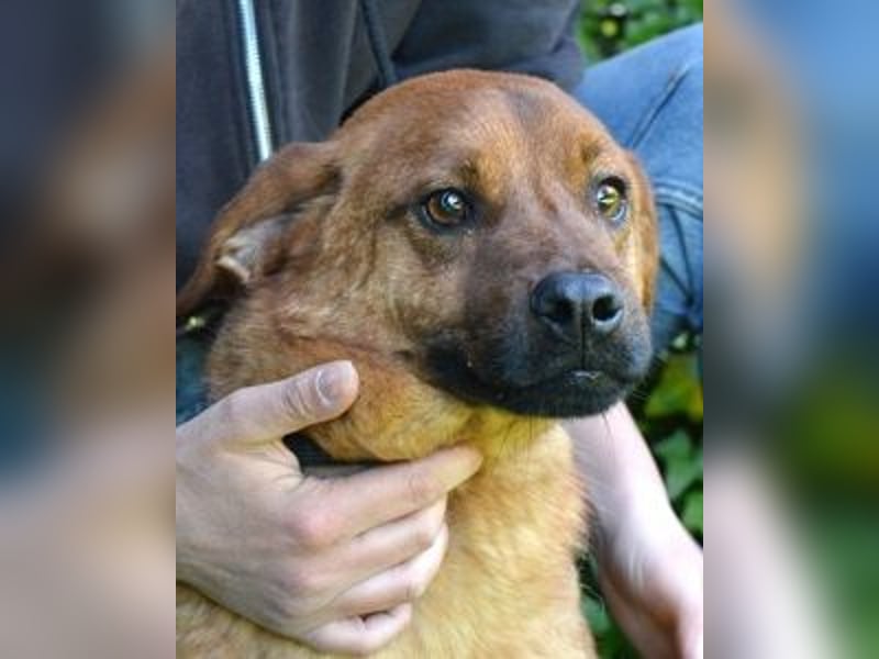 Monaldo - In der Ruhe liegt die Kraft!