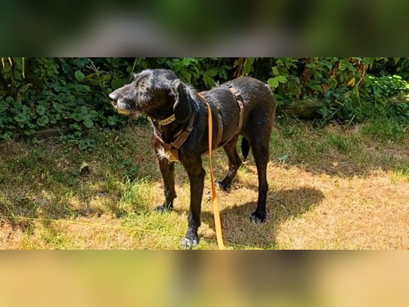 Sabrinetta - Alles, was Du willst, liegt jenseits dieser Mauern