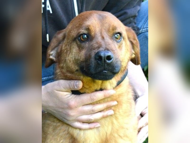 Monaldo - In der Ruhe liegt die Kraft!