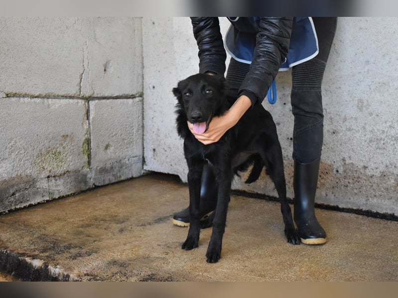 Nolwen - Das Märchen von den fünf Schwestern