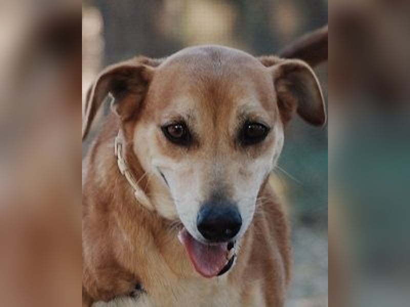 Fortuna - Glück wird mehr, wenn man es teilt