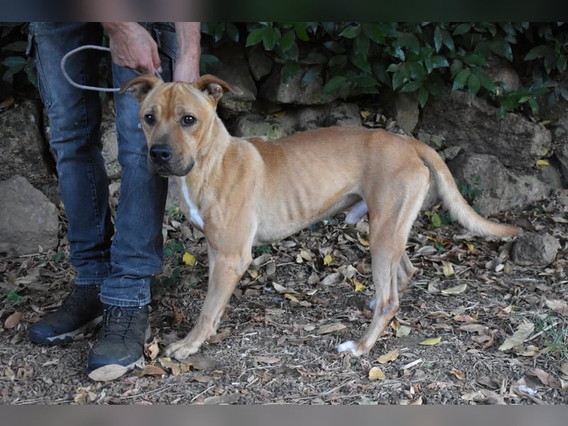 Moises - Wie kannst Du sein? Moises - Wie kannst Du sein?