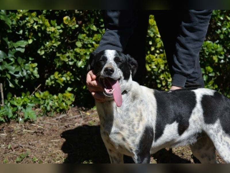 Nikolina - Schüchterner Engel auf der Suche nach dem Glück