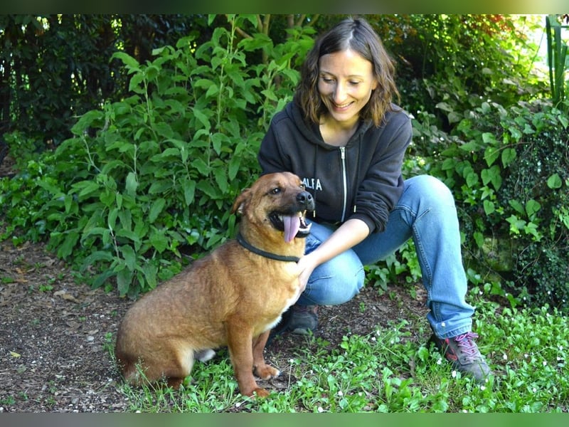 Monaldo - In der Ruhe liegt die Kraft!