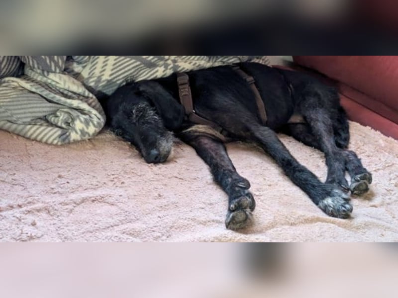 Sabrinetta - Alles, was Du willst, liegt jenseits dieser Mauern