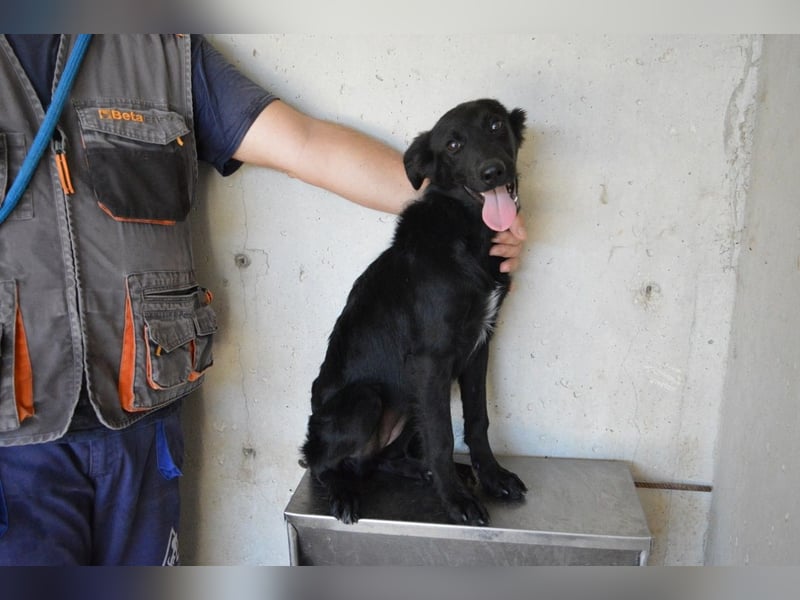 Nolwen - Das Märchen von den fünf Schwestern