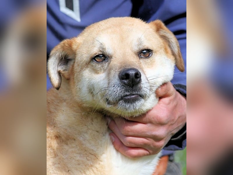 Stanwick - Nachholbedarf