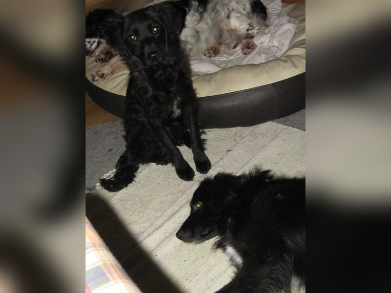 Javier - eine Welt, tiefer und dunkler als der Ozean