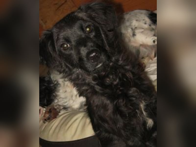 Javier - eine Welt, tiefer und dunkler als der Ozean