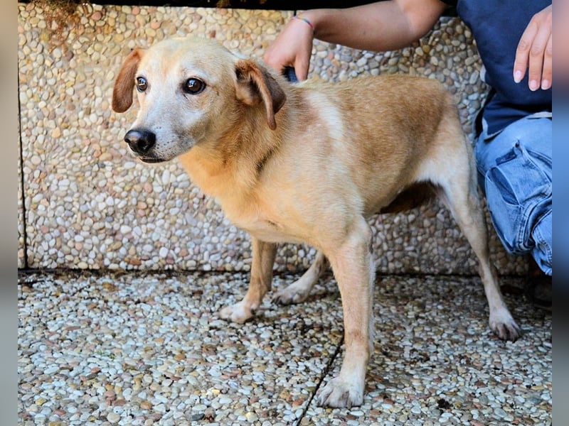 Walker - Die Geschichte vom verlorenen Schatten