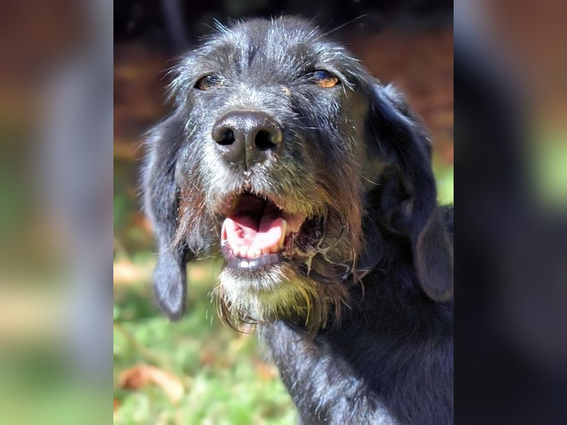 Sabrinetta - Alles, was Du willst, liegt jenseits dieser Mauern