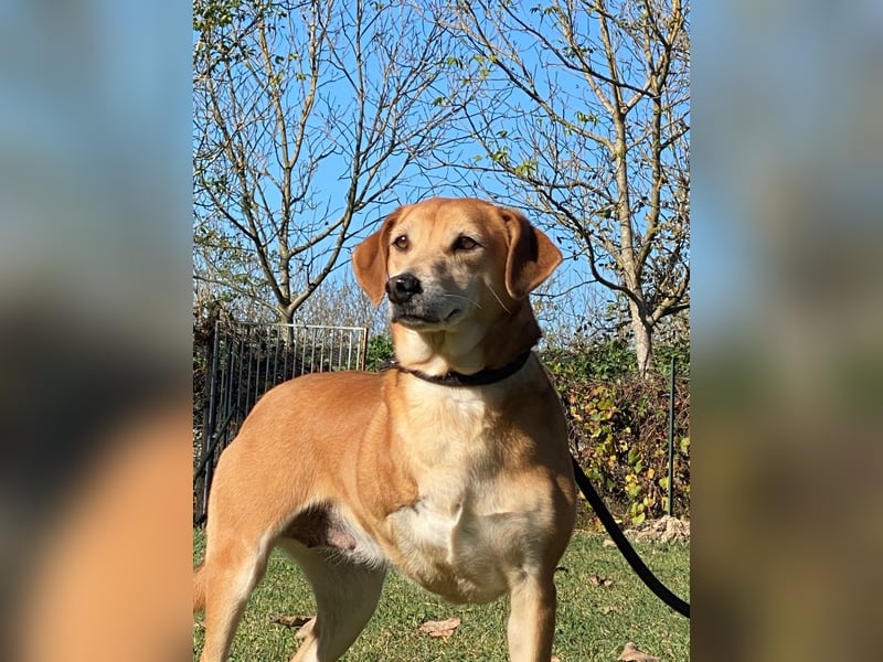 Fortuna - Glück wird mehr, wenn man es teilt