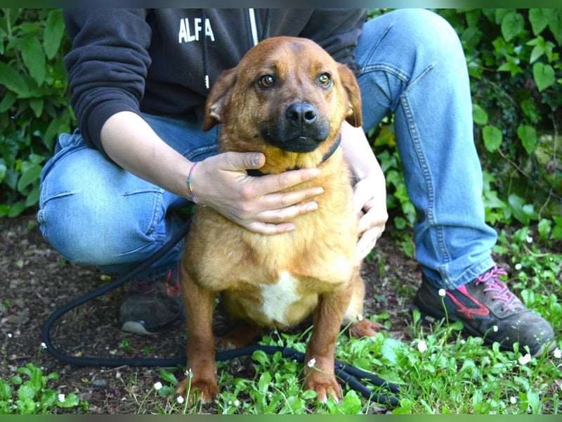Monaldo - In der Ruhe liegt die Kraft!