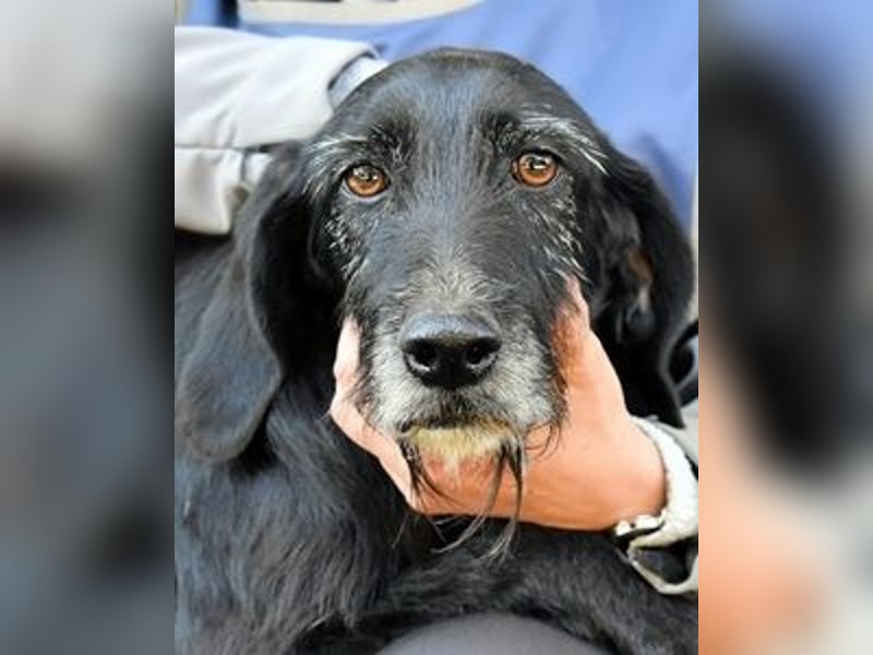 Sabrinetta - Alles, was Du willst, liegt jenseits dieser Mauern