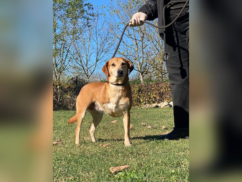 Fortuna - Glück wird mehr, wenn man es teilt