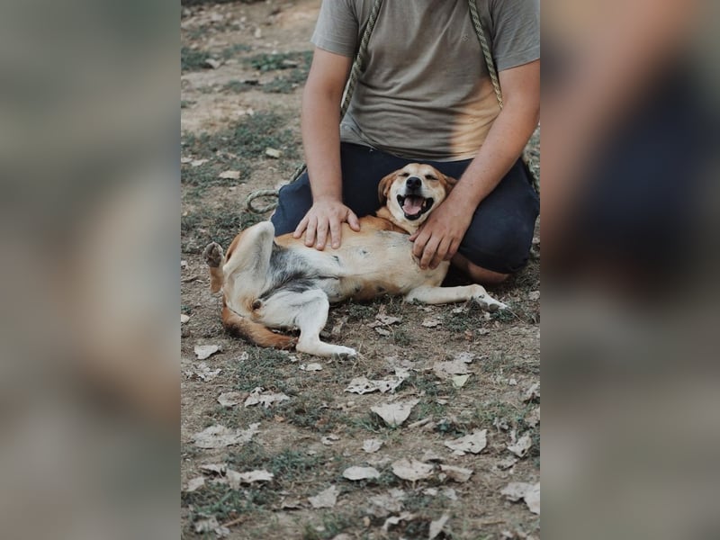 Fortuna - Glück wird mehr, wenn man es teilt