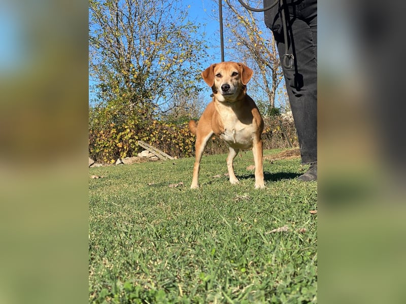 Fortuna - Glück wird mehr, wenn man es teilt