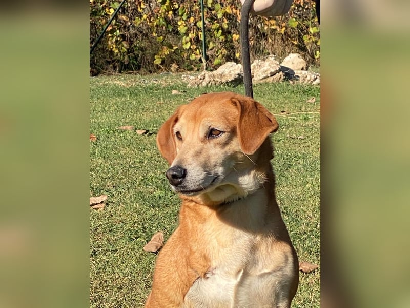 Fortuna - Glück wird mehr, wenn man es teilt