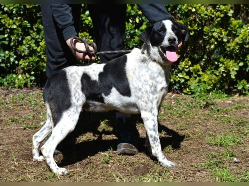 Nikolina - Schüchterner Engel auf der Suche nach dem Glück