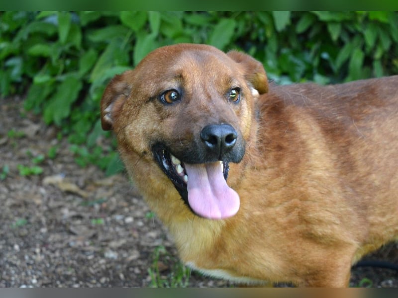 Monaldo - In der Ruhe liegt die Kraft!