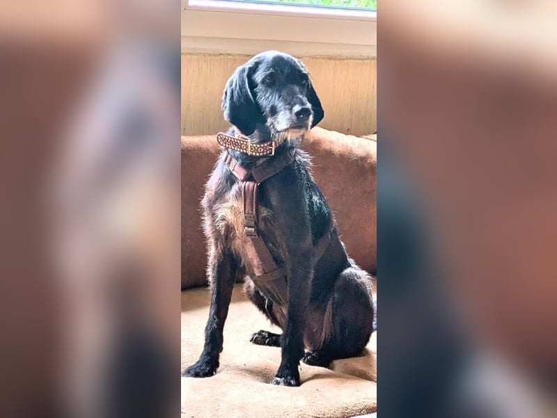 Sabrinetta - Alles, was Du willst, liegt jenseits dieser Mauern