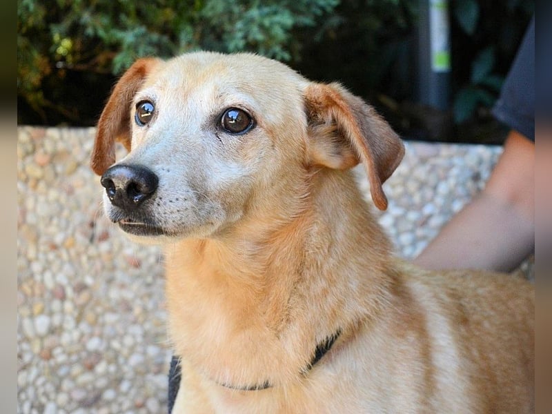 Walker - Die Geschichte vom verlorenen Schatten