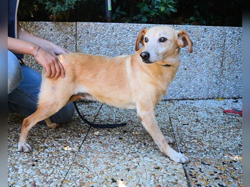 Walker - Die Geschichte vom verlorenen Schatten