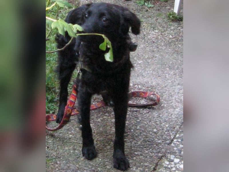 Javier - eine Welt, tiefer und dunkler als der Ozean