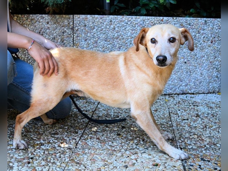 Walker - Die Geschichte vom verlorenen Schatten