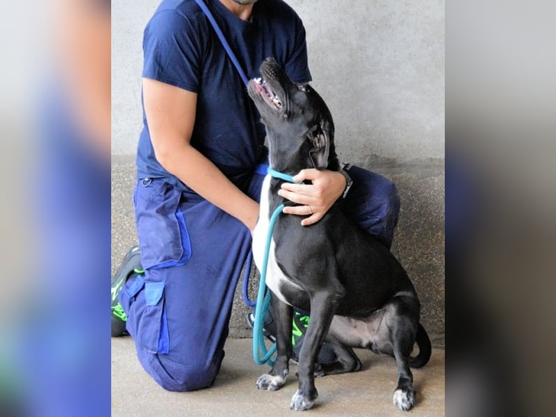 Perlyn - Charmante Ex-Sommerfigur mit Modelpotenzial