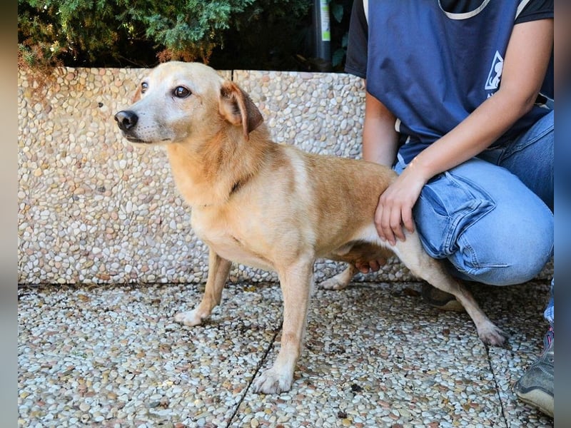 Walker - Die Geschichte vom verlorenen Schatten