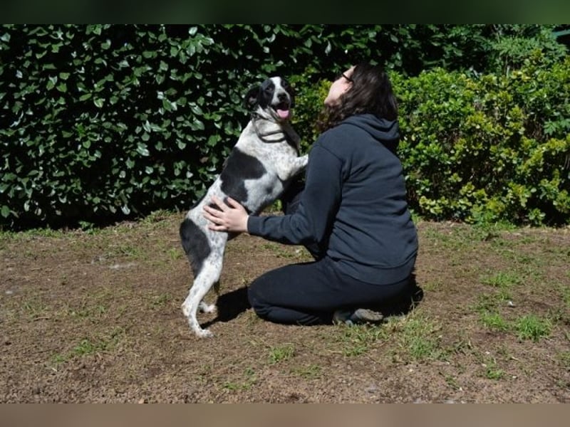 Nikolina - Schüchterner Engel auf der Suche nach dem Glück