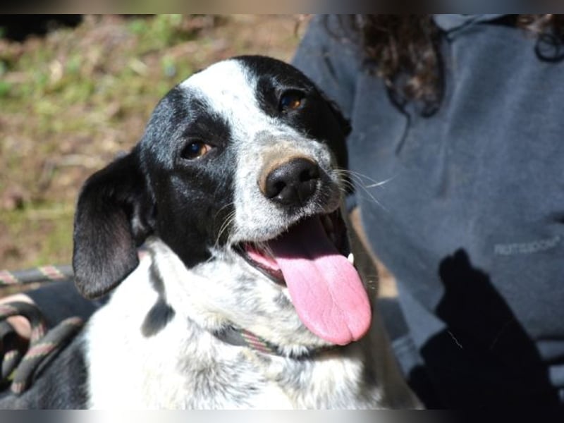 Nikolina - Schüchterner Engel auf der Suche nach dem Glück