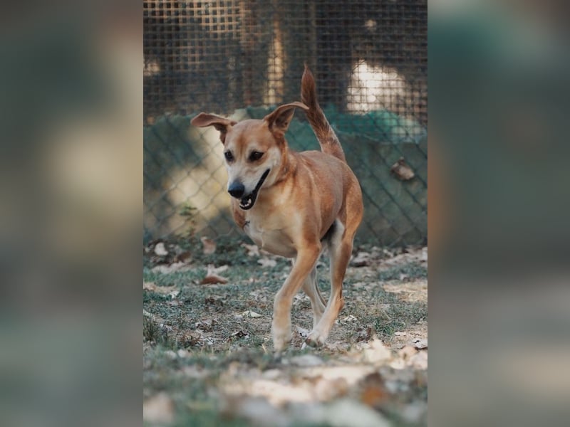 Fortuna - Glück wird mehr, wenn man es teilt