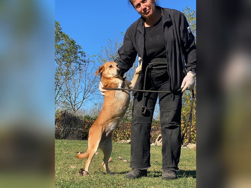 Fortuna - Glück wird mehr, wenn man es teilt